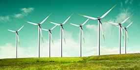 Field of wind turbines